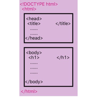 HTML基礎